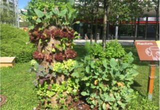 Gardening featured 2